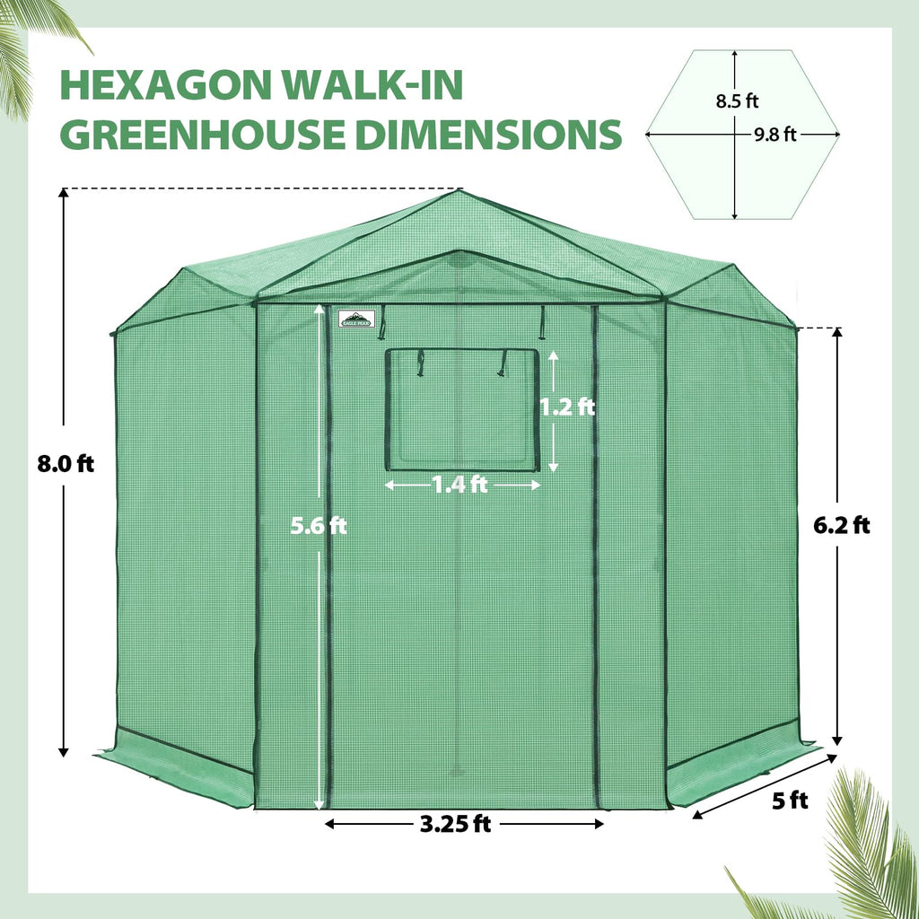 EAGLE PEAK Pop-Up Walk-In Greenhouse (Multiple Sizes)