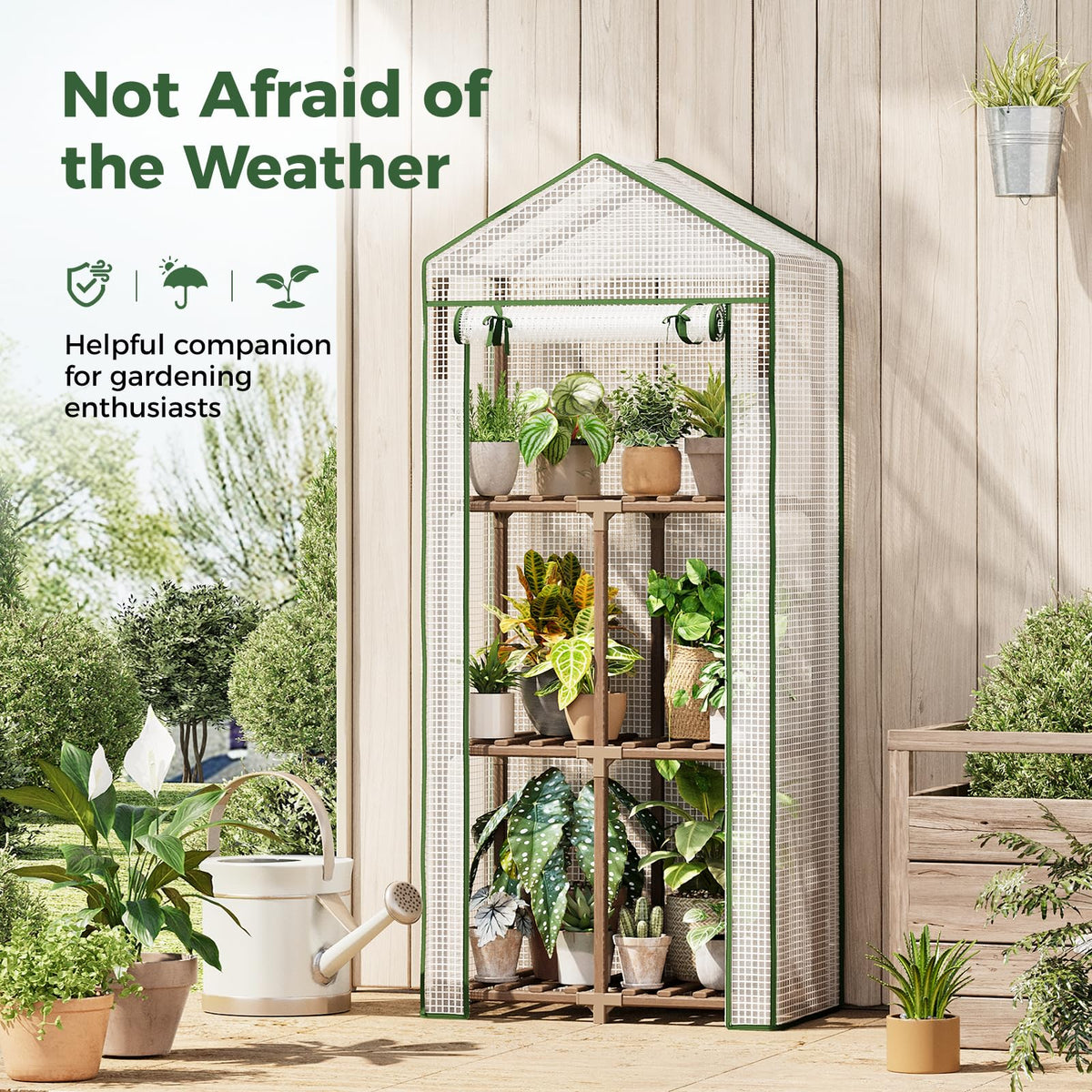 Bamworld 2- and 3-Tier Mini Greenhouse with Optional Grow Light