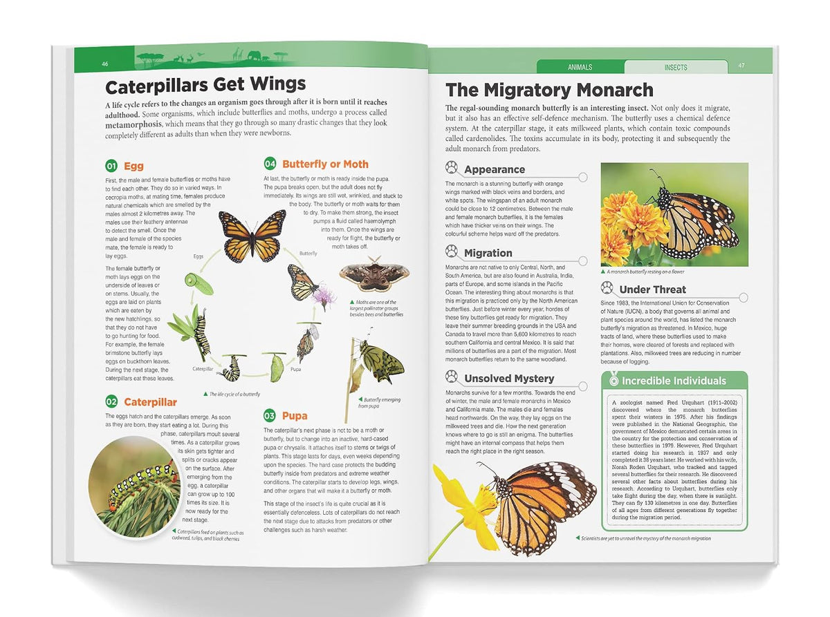 Knowledge Encyclopedia - Animals (Knowledge Encyclopedia For Children)