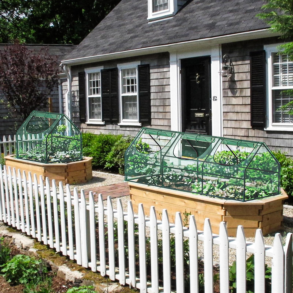 Greatbuddy Small Greenhouse, 9 Sq Ft (3 ft × 3 ft)