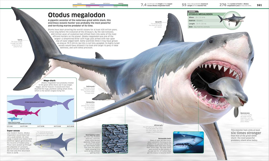 Knowledge Encyclopedia Dinosaur!