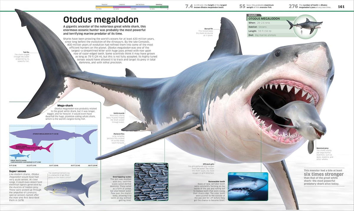 Knowledge Encyclopedia Dinosaur!
