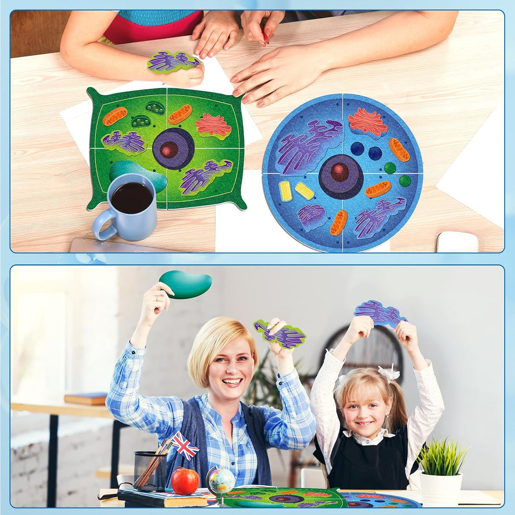 VercanMonth: 3D Felt Animal & Plant Cell Model Kit — 31-Piece Biology Set (Ages 8+)
