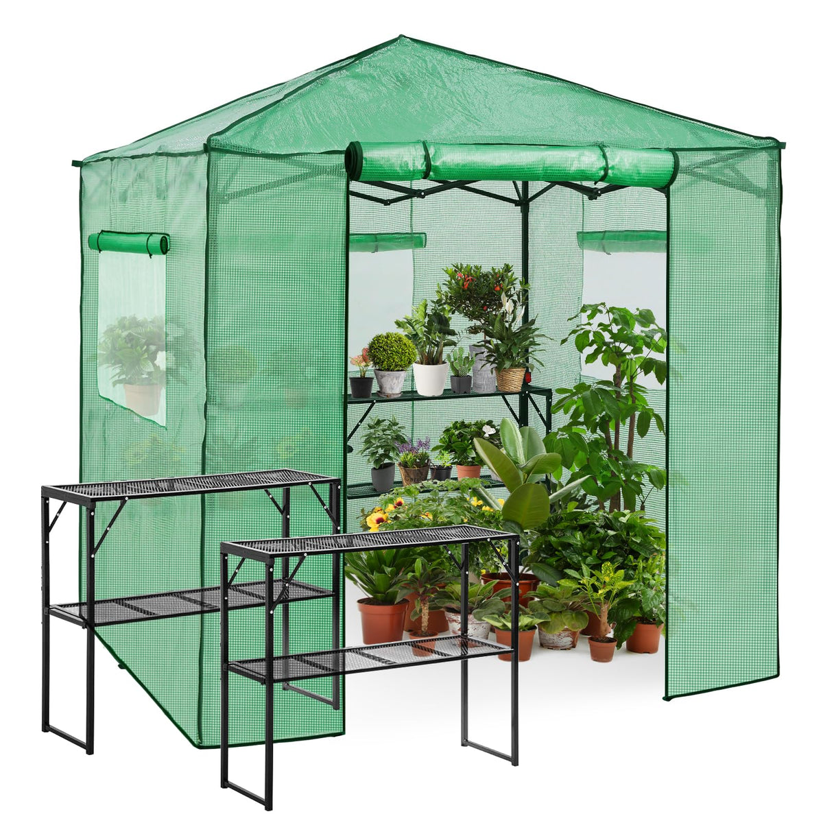 EAGLE PEAK Pop-Up Walk-In Greenhouse (Multiple Sizes)