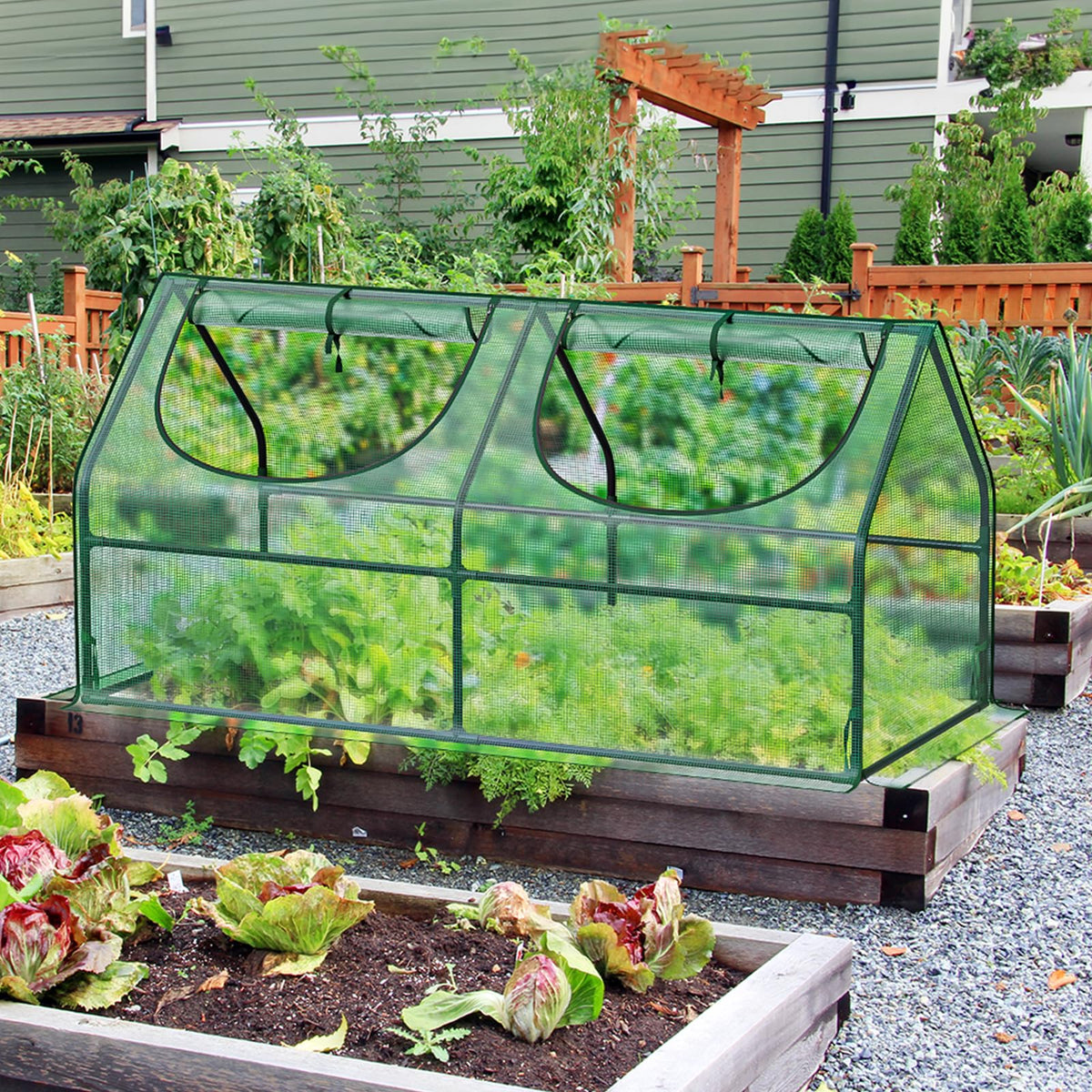 Greatbuddy Small Greenhouse, 9 Sq Ft (3 ft × 3 ft)
