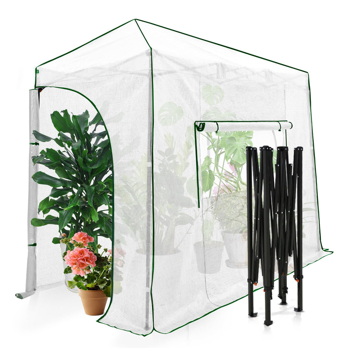 EAGLE PEAK Pop-Up Walk-In Greenhouse (Multiple Sizes)