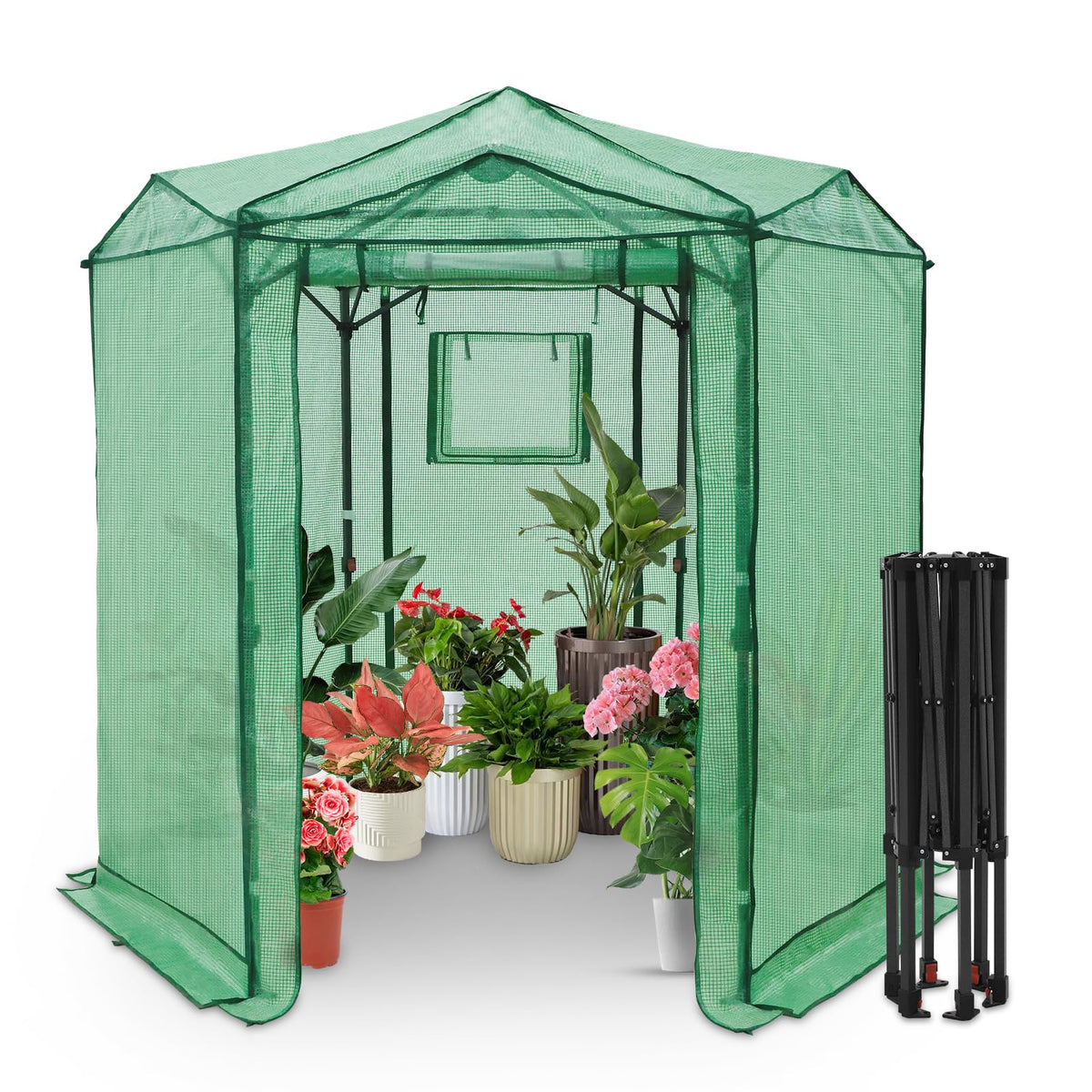 EAGLE PEAK Pop-Up Walk-In Greenhouse (Multiple Sizes)