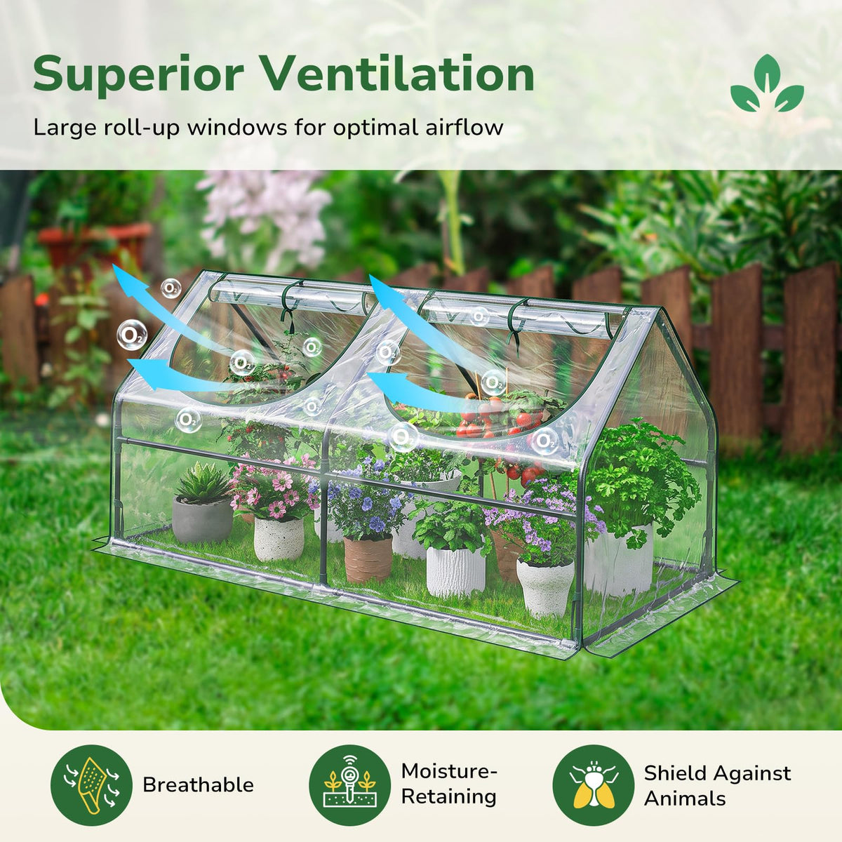Greatbuddy Small Greenhouse, 9 Sq Ft (3 ft × 3 ft)