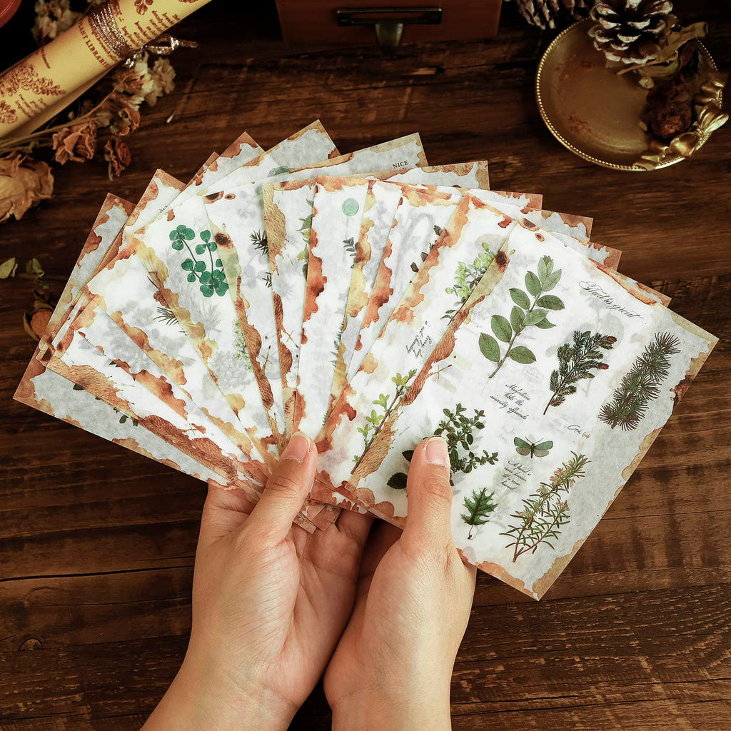 Dizdkizd Nature Botanical Stickers for Journaling, Ephemera Sticker Book, Translucent Washi Sticker for Scrapbooking - 20 Sheets (200 Pieces)