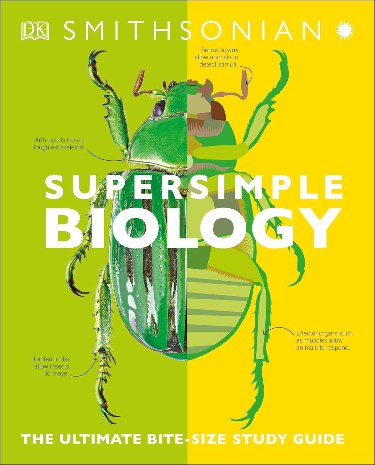 SuperSimple Biology: The Ultimate Bitesize Study Guide (DK Super Simple)