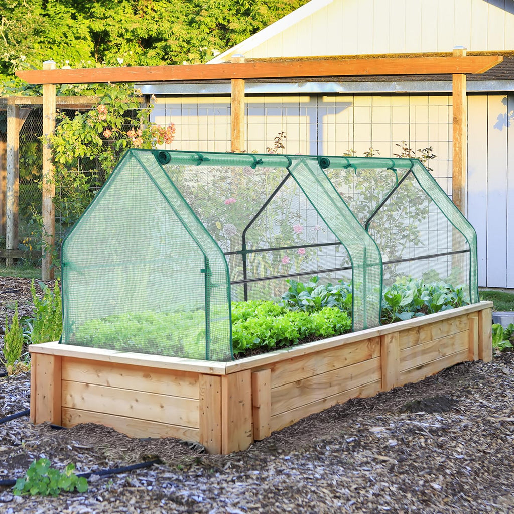 Ohuhu Portable Mini Greenhouse (71 × 36 × 36 in)