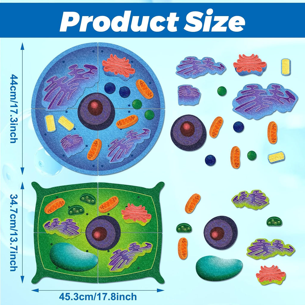 VercanMonth: 3D Felt Animal & Plant Cell Model Kit — 31-Piece Biology Set (Ages 8+)