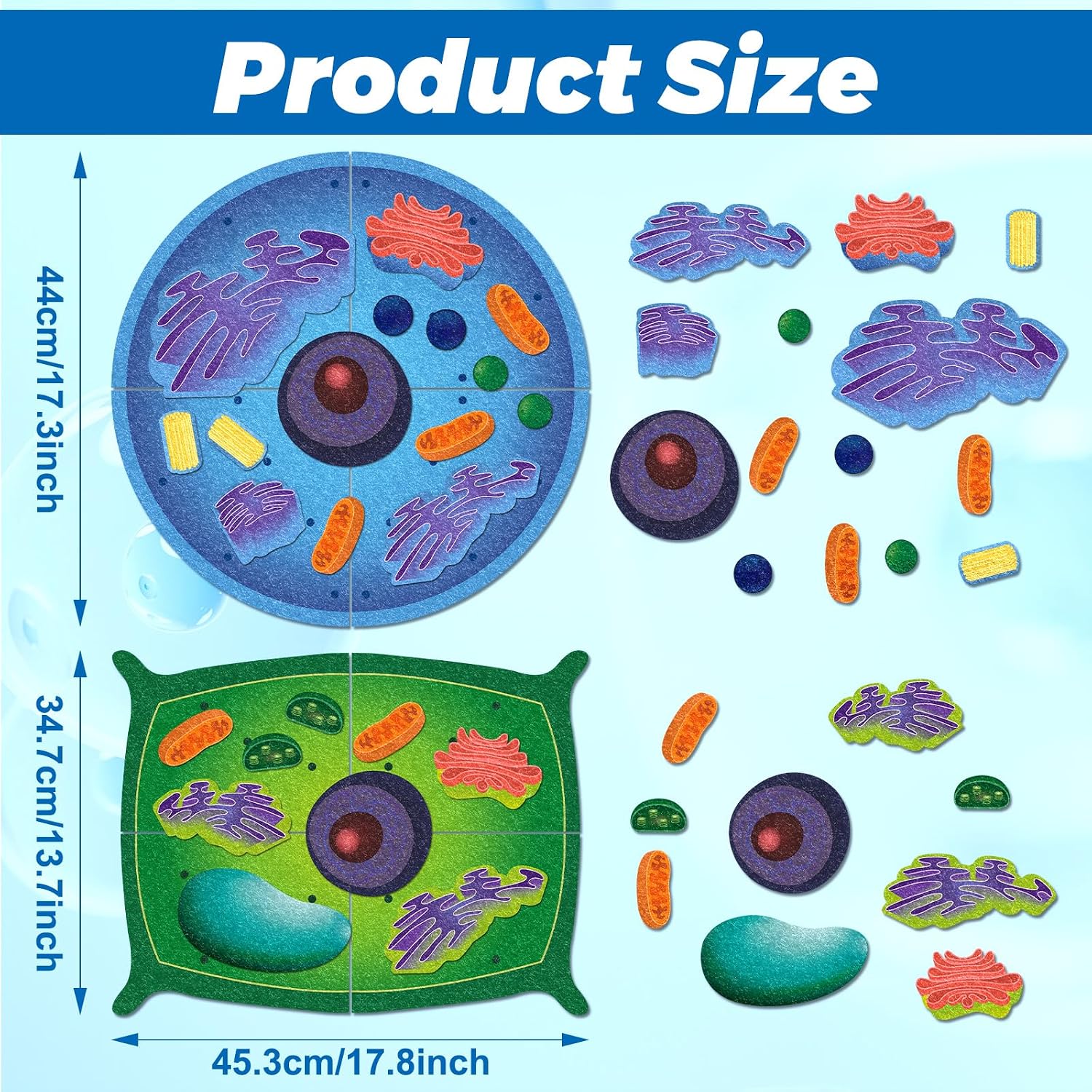 VercanMonth: 3D Felt Animal & Plant Cell Model Kit — 31-Piece Biology Set (Ages 8+)