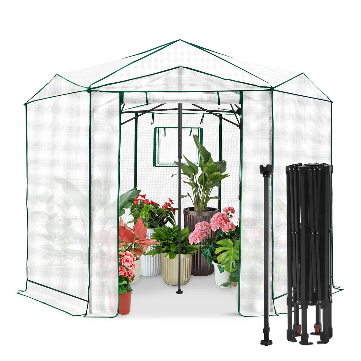 EAGLE PEAK Pop-Up Walk-In Greenhouse (Multiple Sizes)