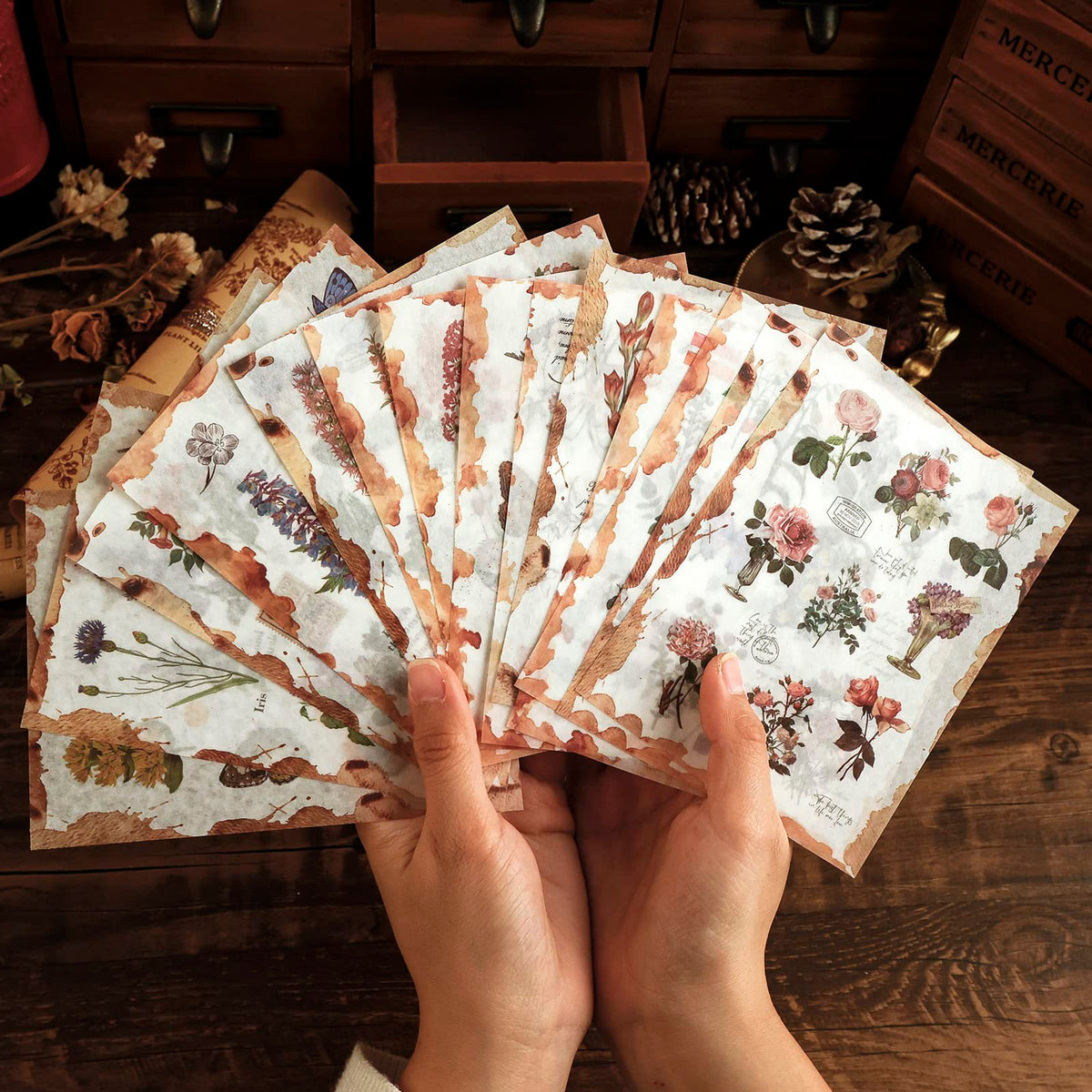 Dizdkizd Nature Botanical Stickers for Journaling, Ephemera Sticker Book, Translucent Washi Sticker for Scrapbooking - 20 Sheets (200 Pieces)