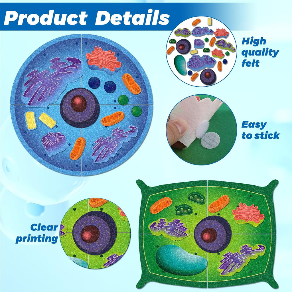 VercanMonth: 3D Felt Animal & Plant Cell Model Kit — 31-Piece Biology Set (Ages 8+)