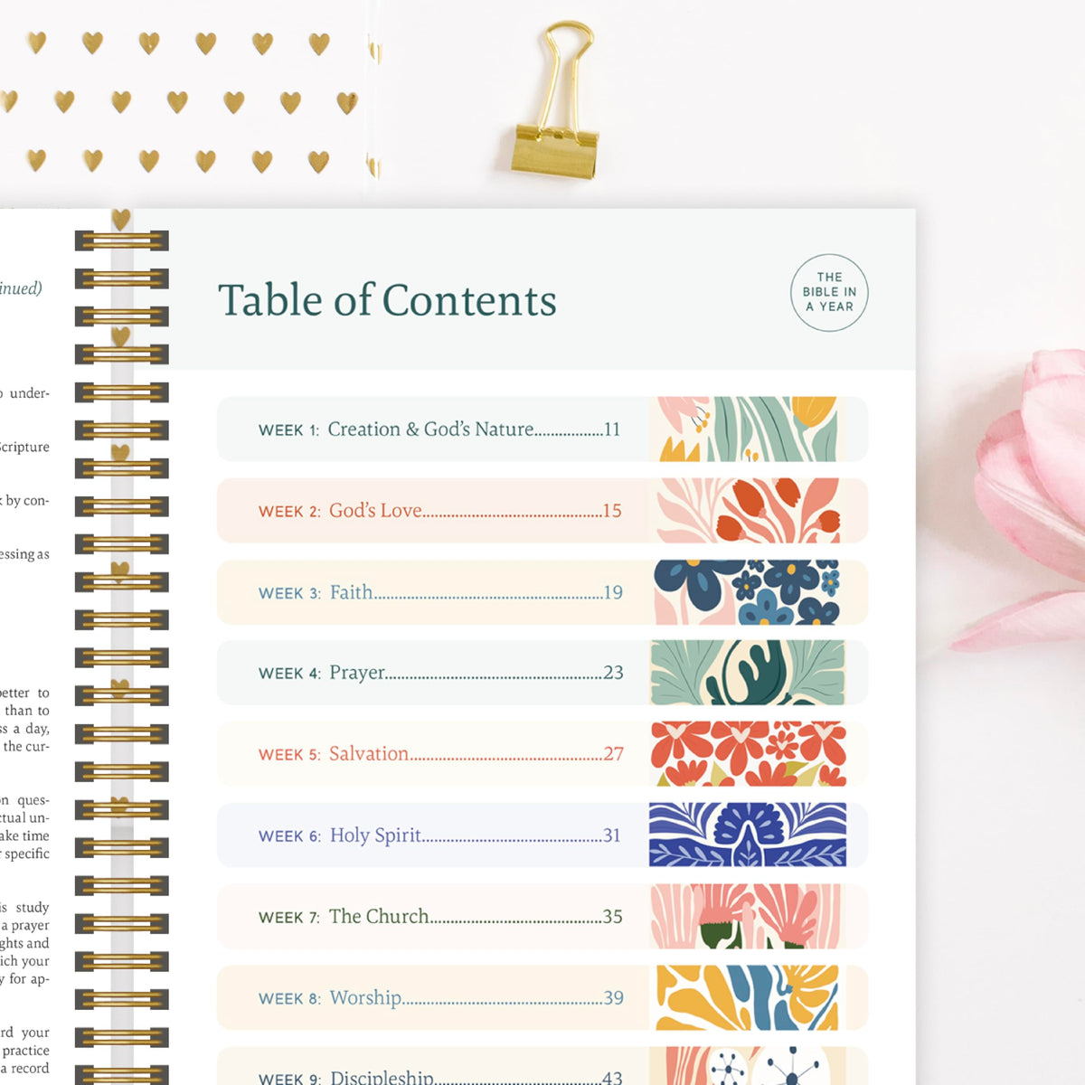 Official Spiral Bible: Bible in a Year for Kids, 52-Week Journey, Ages 5-13