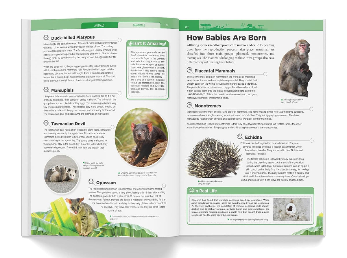 Knowledge Encyclopedia - Animals (Knowledge Encyclopedia For Children)