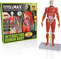 Be Amazing!  Interactive Human Body Anatomy Figure — 60-Piece STEM Model (Ages 8+)