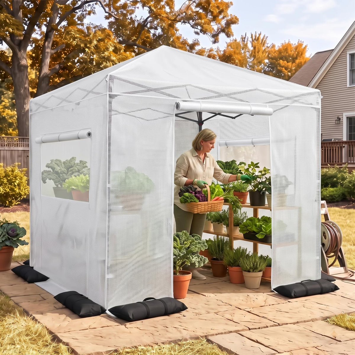 EAGLE PEAK Pop-Up Walk-In Greenhouse (Multiple Sizes)