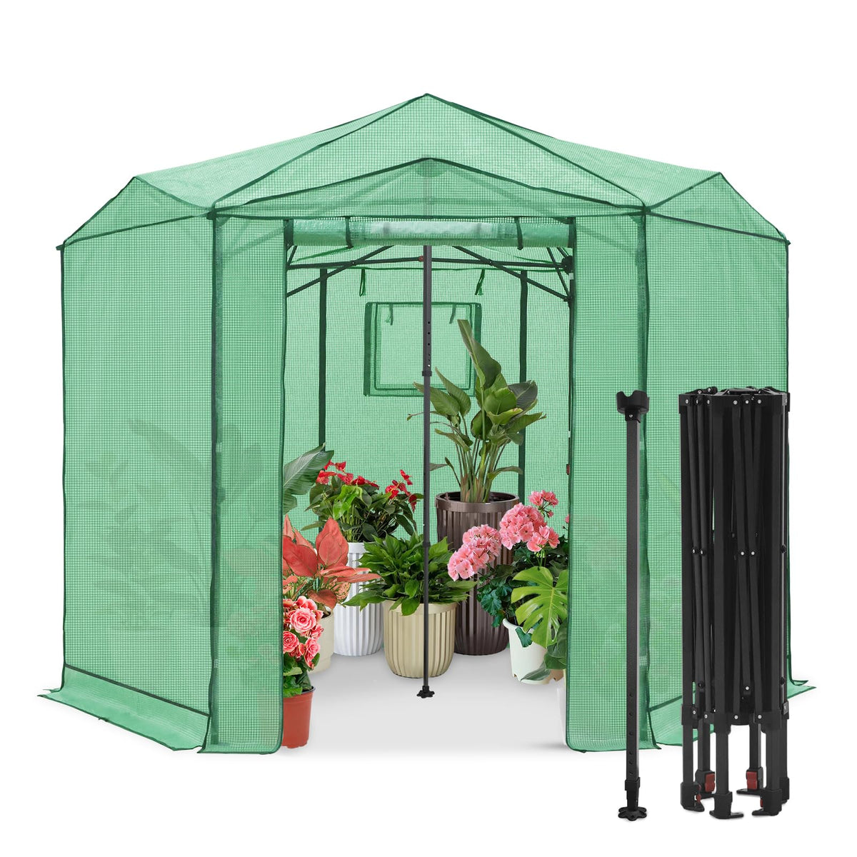 EAGLE PEAK Pop-Up Walk-In Greenhouse (Multiple Sizes)