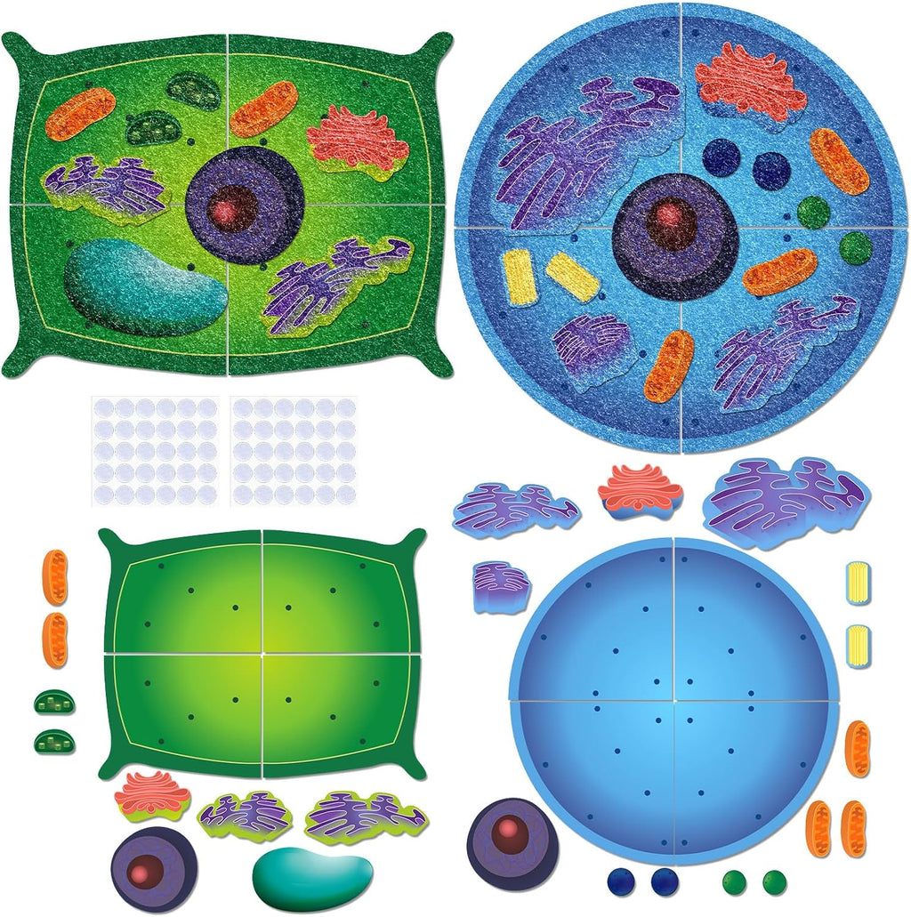 VercanMonth: 3D Felt Animal & Plant Cell Model Kit — 31-Piece Biology Set (Ages 8+)