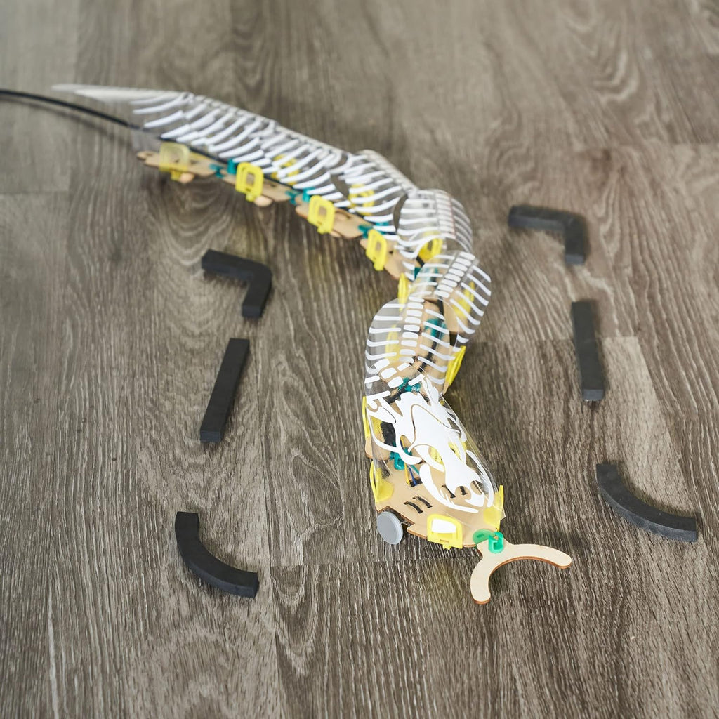 KiwiCo Remote Control Snake Robot - DIY Robotics Building Kit for Ages 9+
