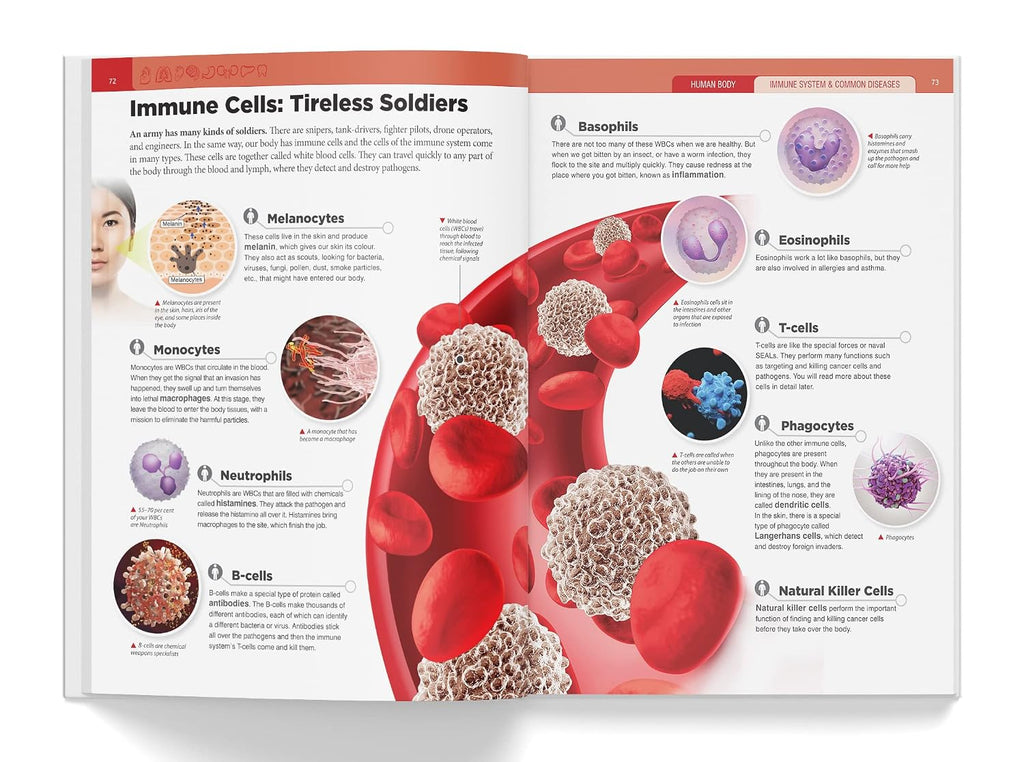 Wonder House Books: Knowledge Encyclopedia Human Body (Grades 4–8)