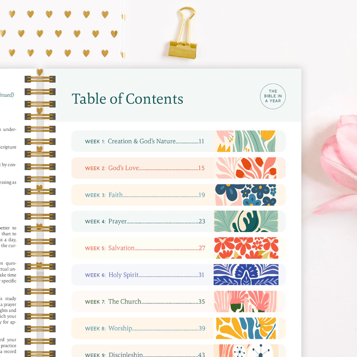 Official Spiral Bible: Bible in a Year for Kids, 52-Week Journey, Ages 5-13