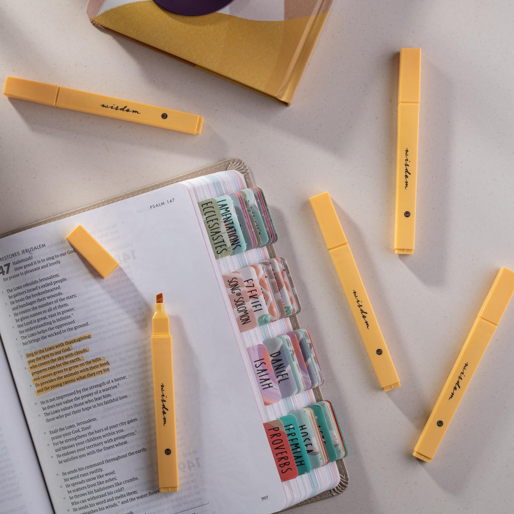 DIVERSEBEE Bible Highlighters with Soft Chisel Tip, No Bleed (Pastel)