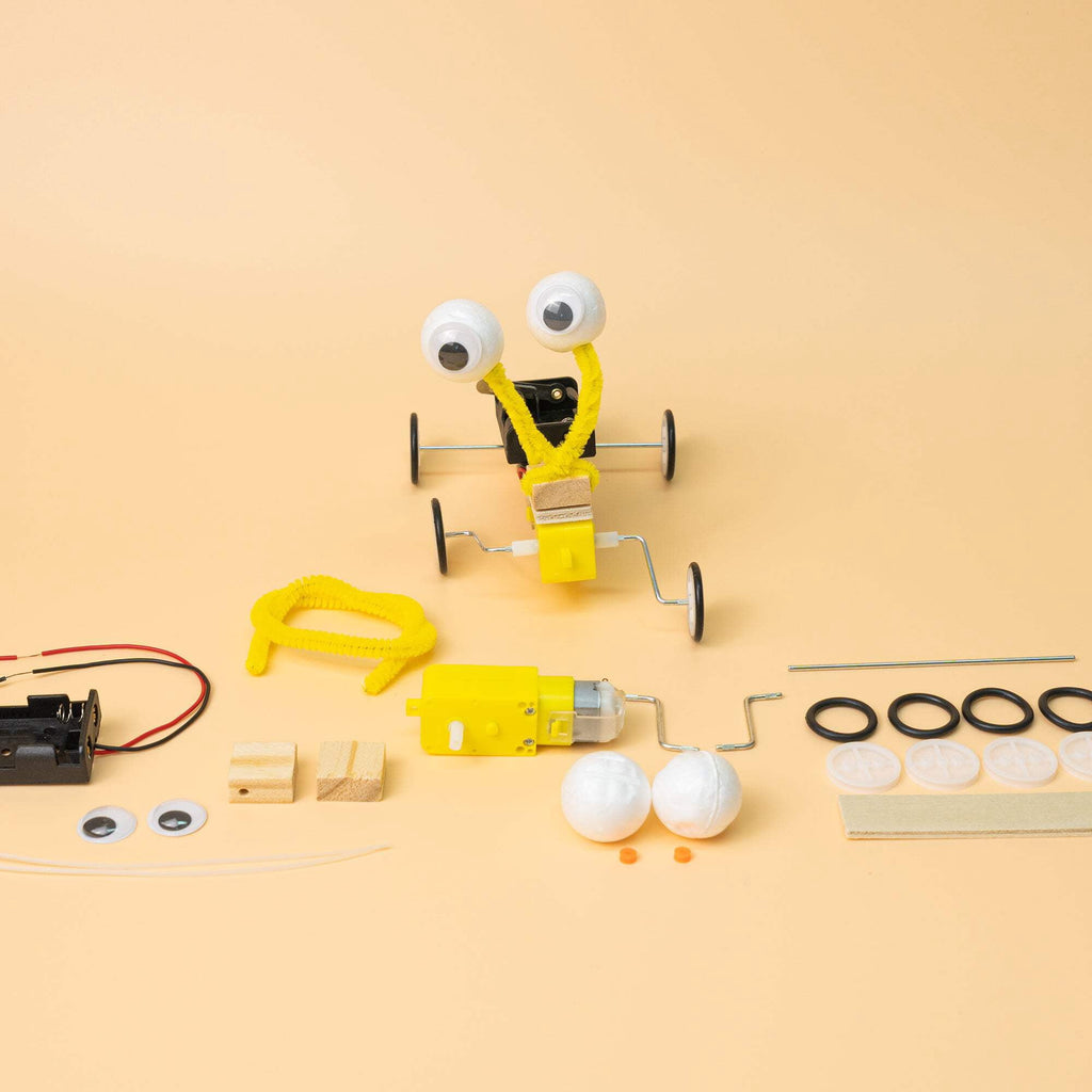 Bug Robot DIY Kit, Educational STEM Toy
