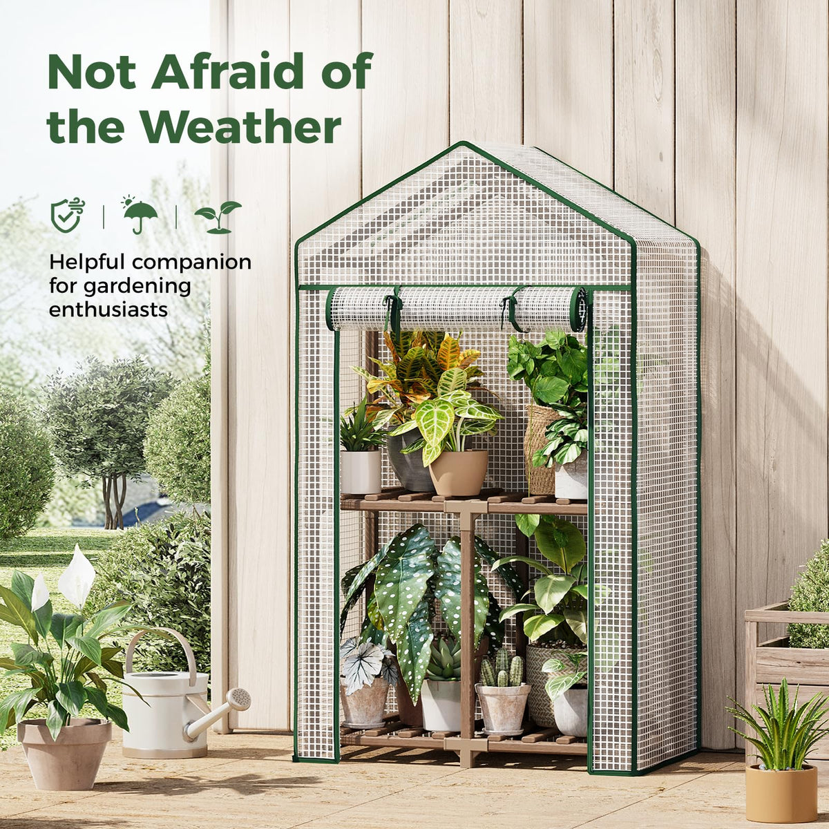 Bamworld 2- and 3-Tier Mini Greenhouse with Optional Grow Light