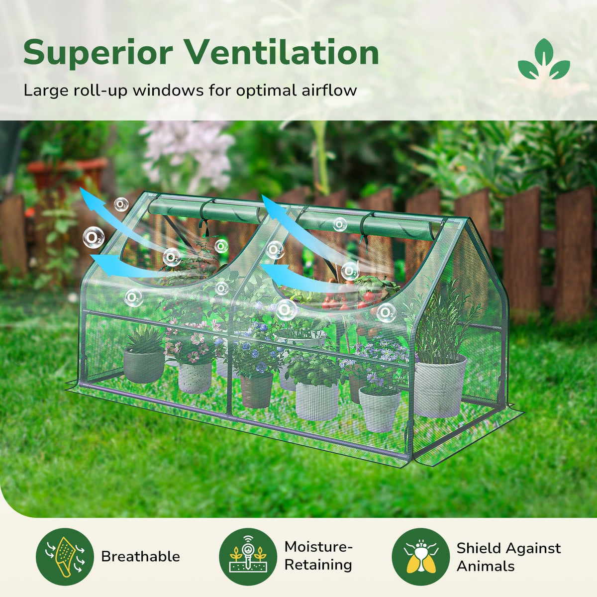 Greatbuddy Small Greenhouse, 9 Sq Ft (3 ft × 3 ft)