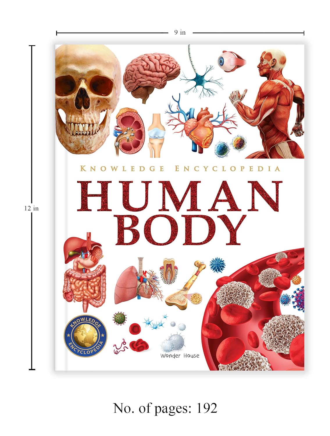 Knowledge Encyclopedia Human Body (Knowledge Encyclopedia For Children)