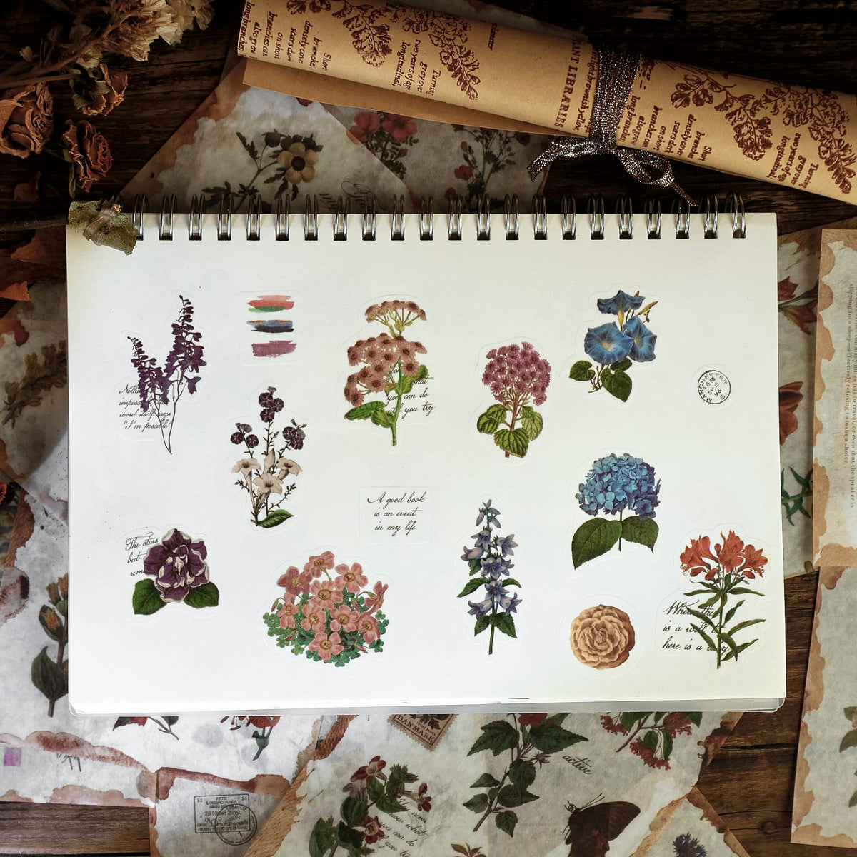 Dizdkizd Nature Botanical Stickers for Journaling, Ephemera Sticker Book, Translucent Washi Sticker for Scrapbooking - 20 Sheets (200 Pieces)