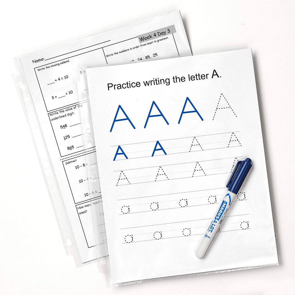Avery Clear Standard Weight Sheet Protectors, Top Load, 10 Document Protectors (75540)