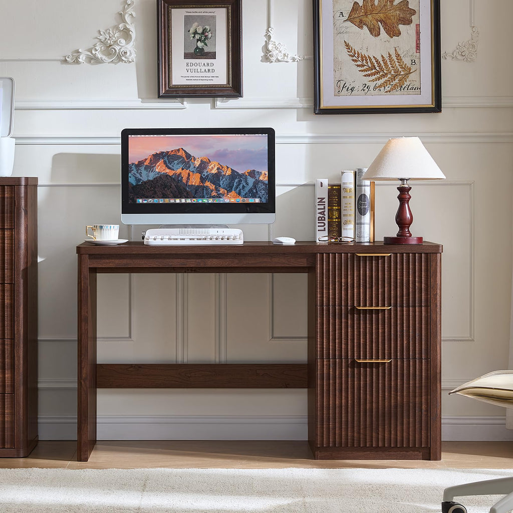 LEYAOYAO Office Desk 48" with 3 Drawers Storage File Cabinet