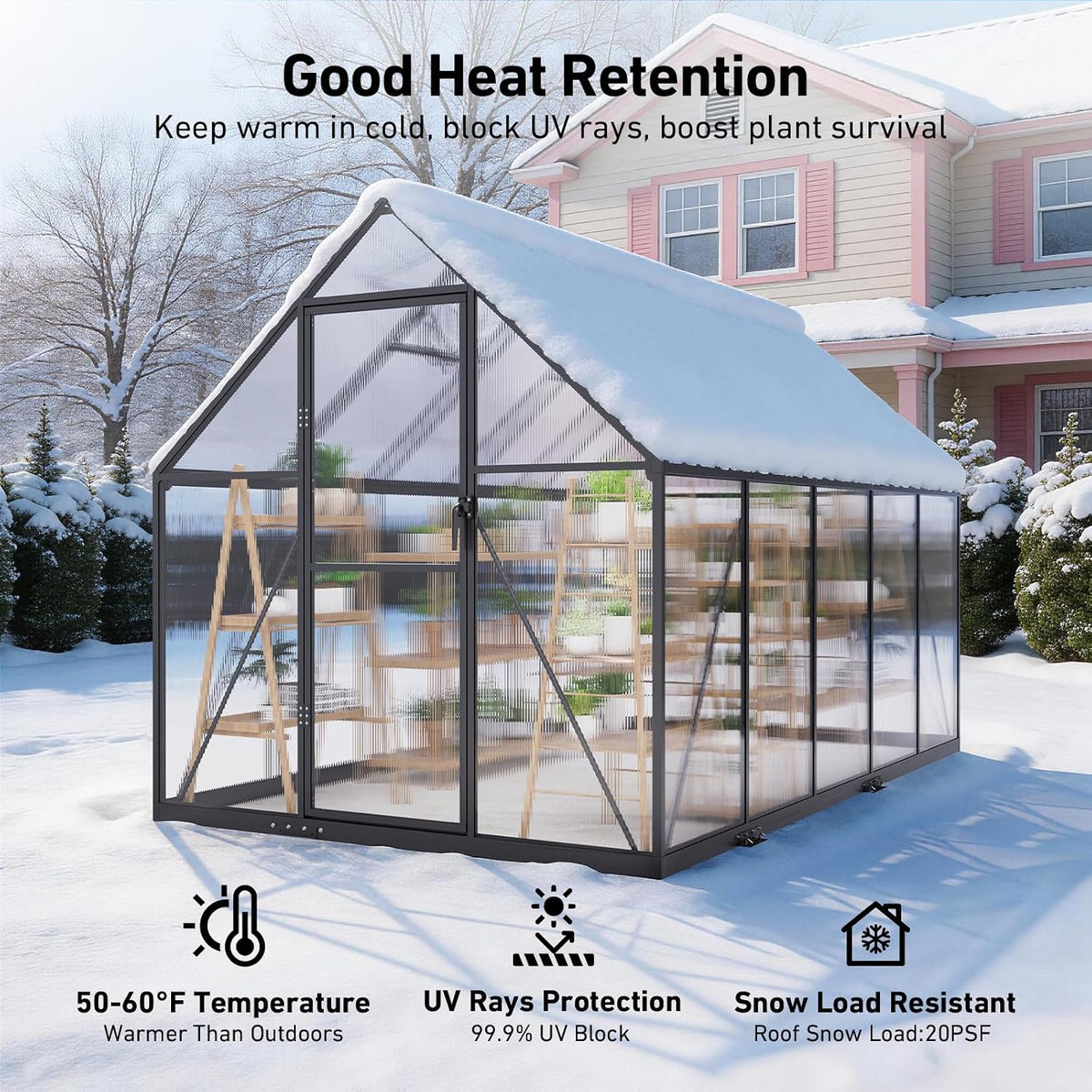 Windproof Tunnel Greenhouse with Thermometer (Multiple Sizes)