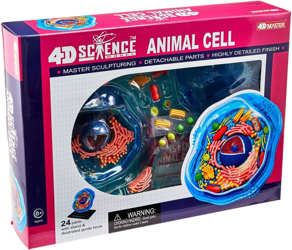 Famemaster: 4D-Science Animal Cell Anatomy Model (Ages 8+)