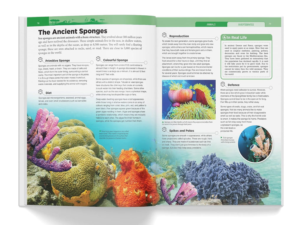 Knowledge Encyclopedia - Animals (Knowledge Encyclopedia For Children)