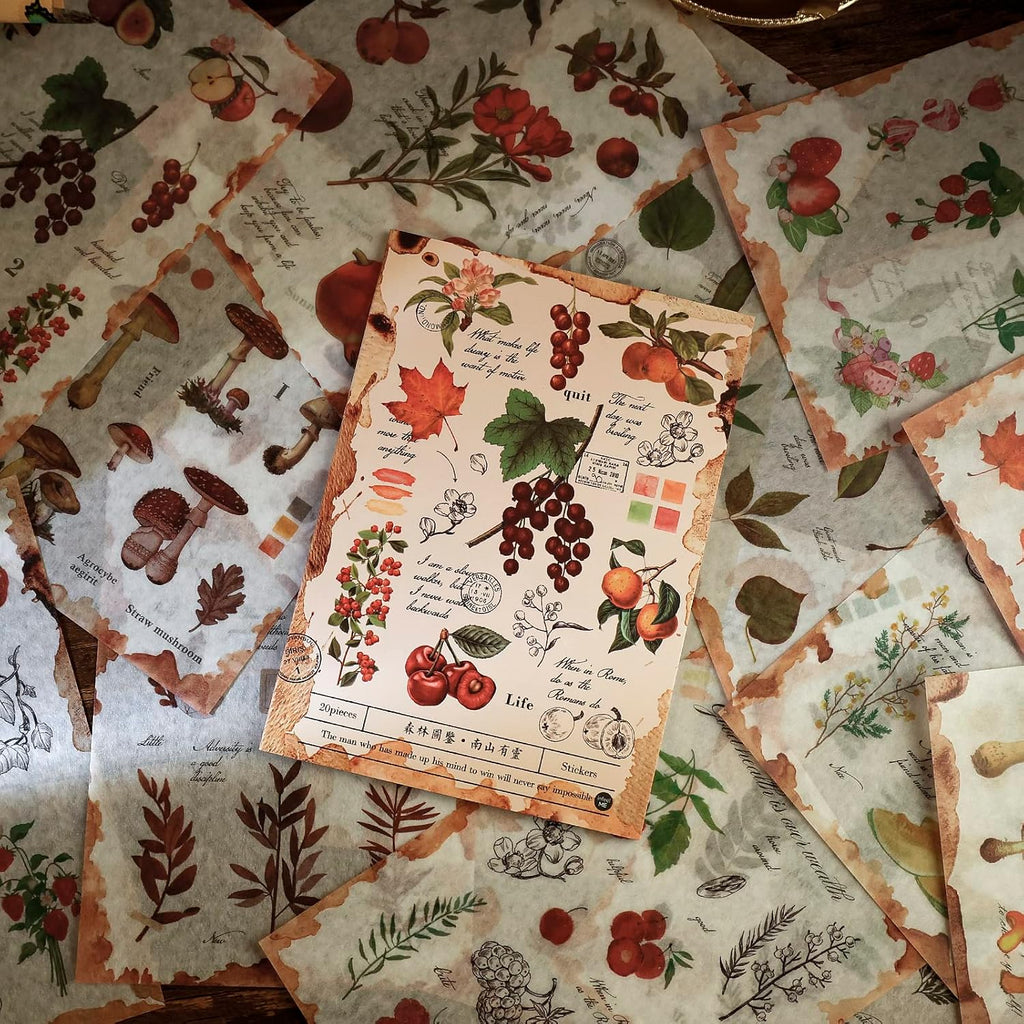 Dizdkizd Nature Botanical Stickers for Journaling, Ephemera Sticker Book, Translucent Washi Sticker for Scrapbooking - 20 Sheets (200 Pieces)
