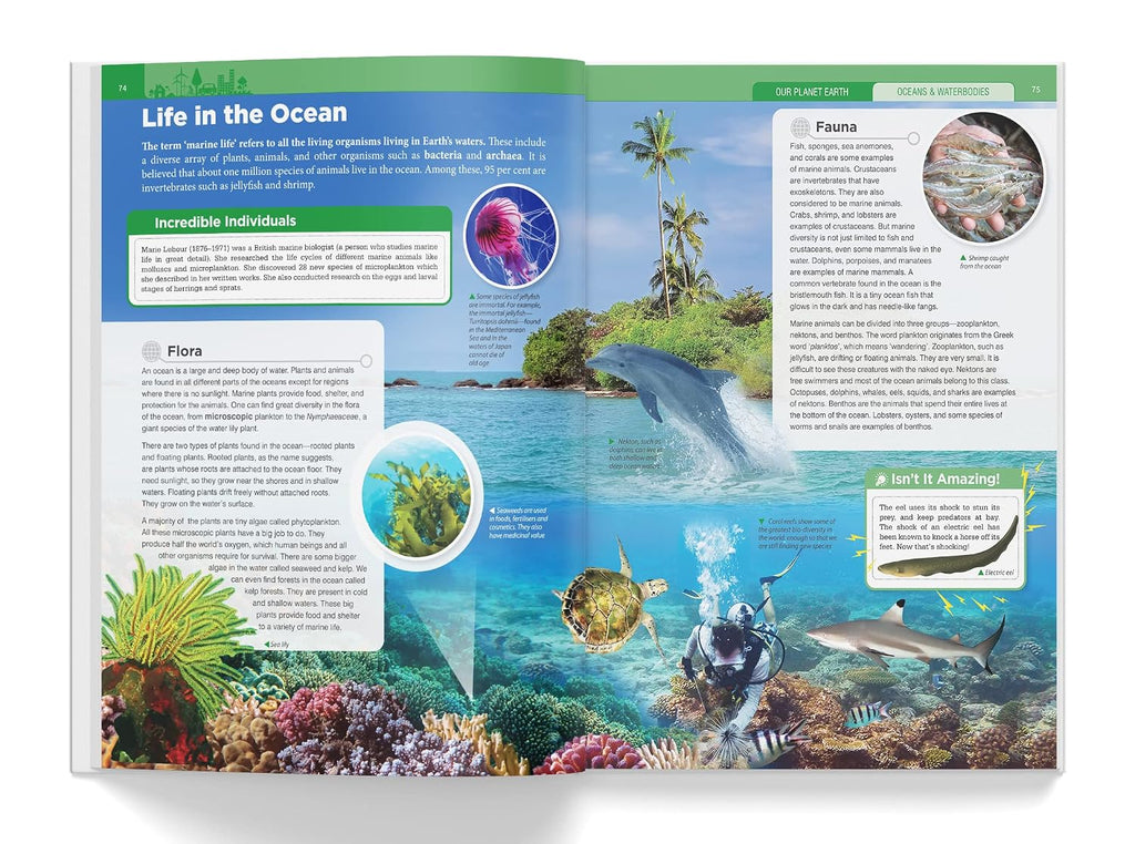 Knowledge Encyclopedia - Our Planet Earth (Knowledge Encyclopedia For Children)