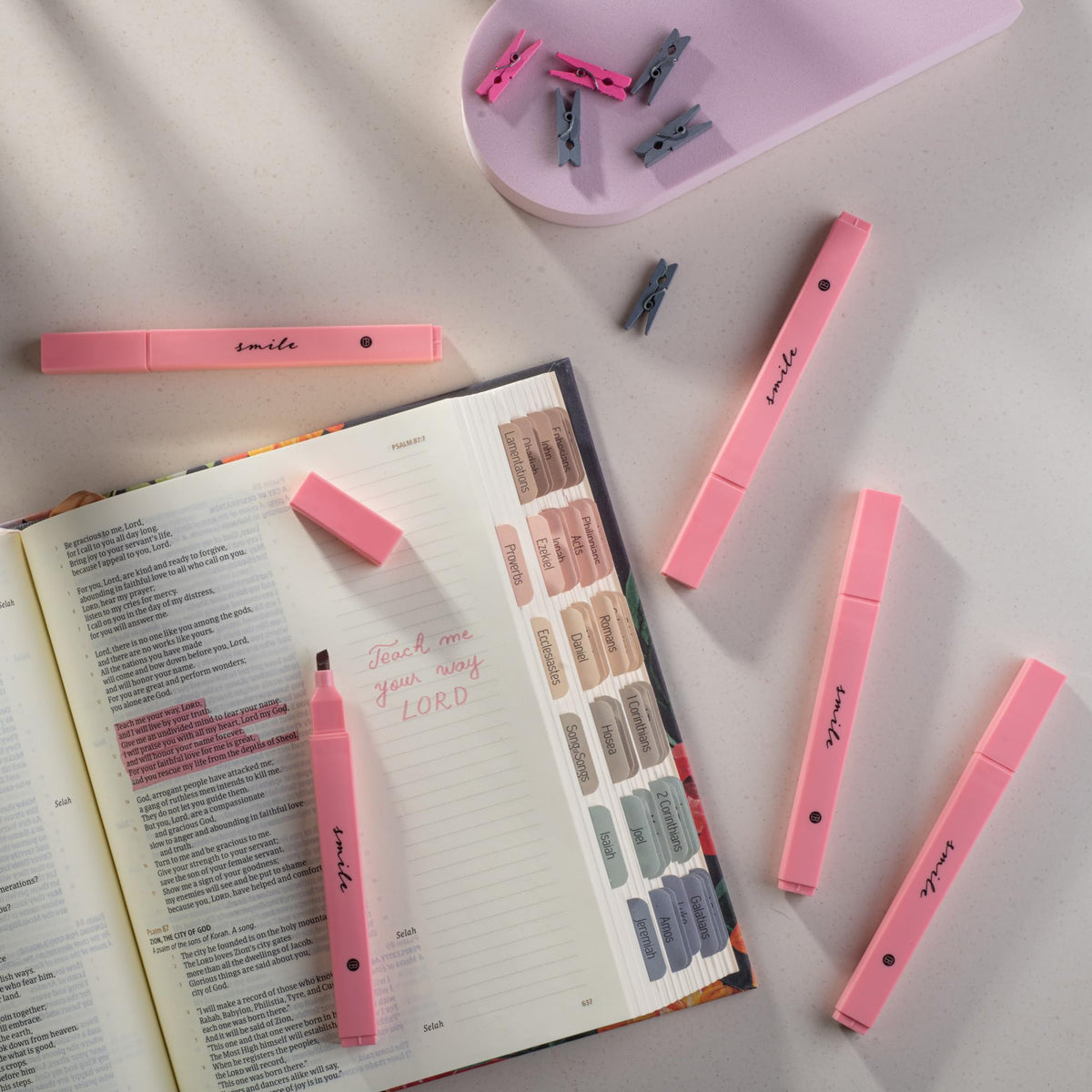 DIVERSEBEE Bible Highlighters with Soft Chisel Tip, No Bleed (Pastel)