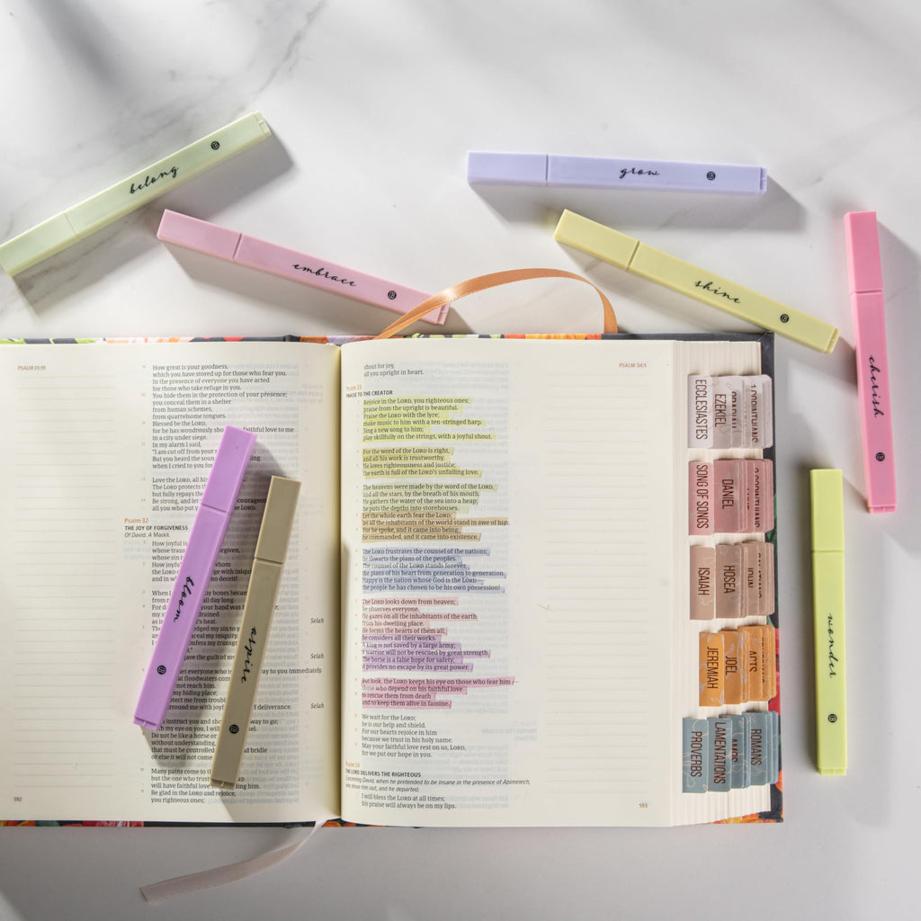 DIVERSEBEE Bible Highlighters with Soft Chisel Tip, No Bleed (Pastel)