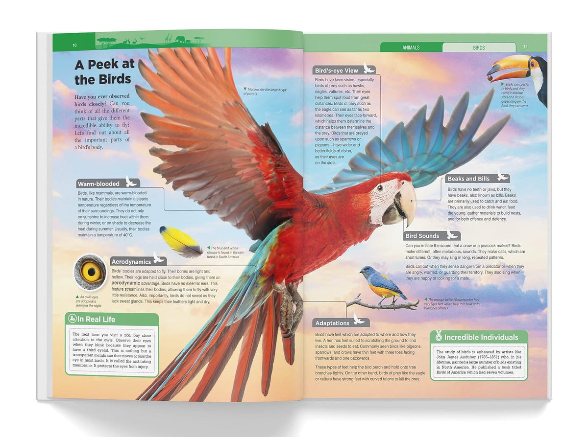 Knowledge Encyclopedia - Animals (Knowledge Encyclopedia For Children)