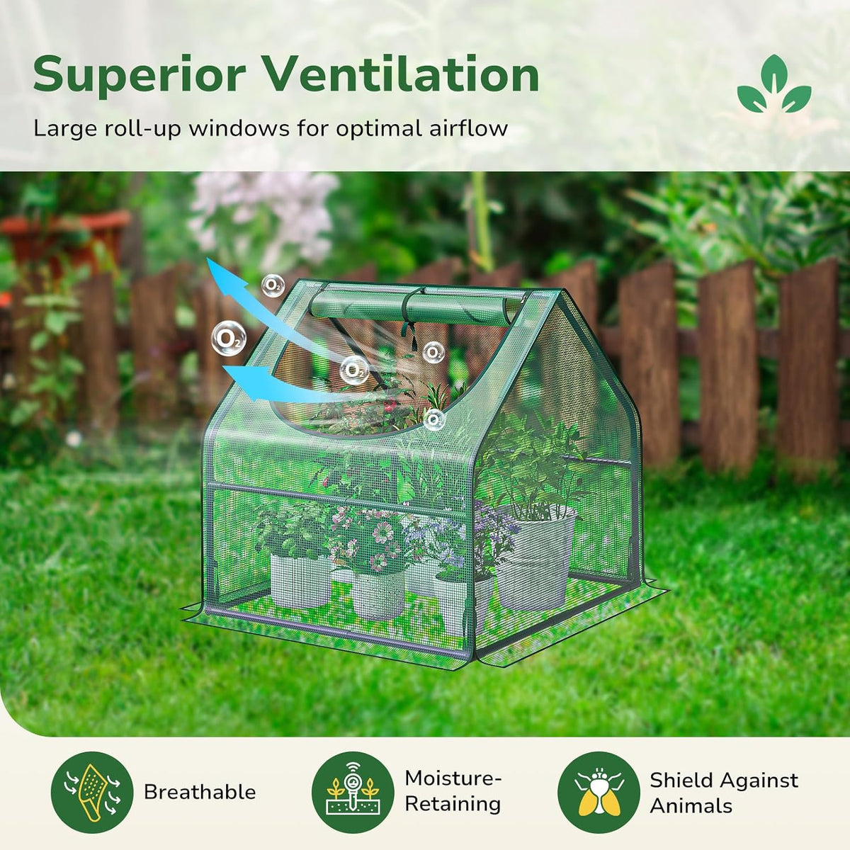 Greatbuddy Small Greenhouse, 9 Sq Ft (3 ft × 3 ft)