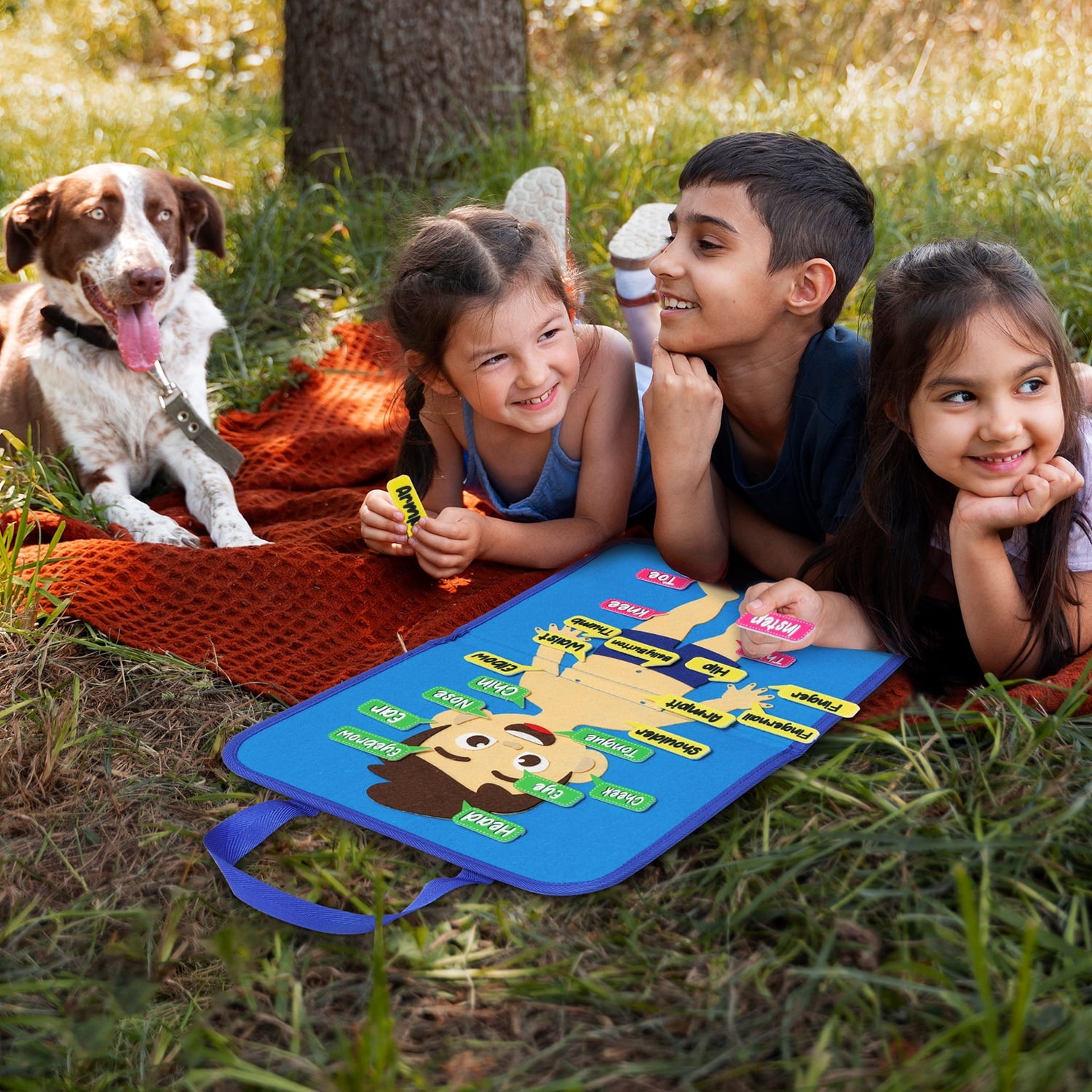 Belanttega Body Cognition Portable Felt Board Story Set Learn The Name