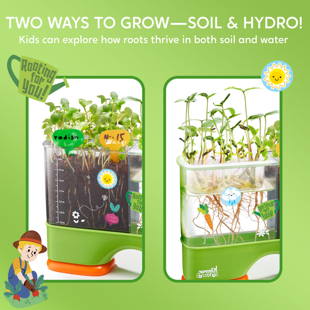 Klever Kits 2 in 1 Root Viewer Kit - Grow Your Own Plant, Educational