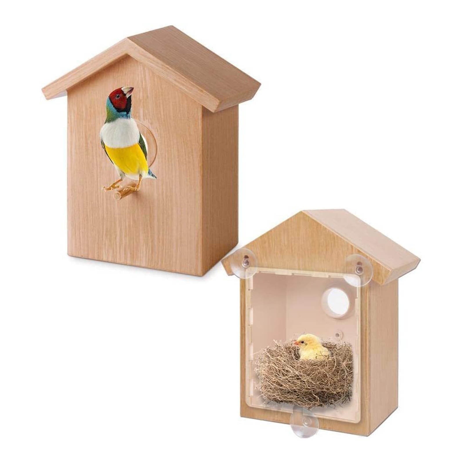 Window Birdhouse Paint Kit, DIY Clear Bird House With Suction Cups, Wo