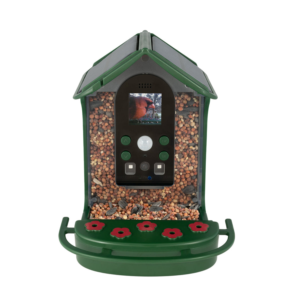 Wild Bird Feeder Wi-Fi Camera